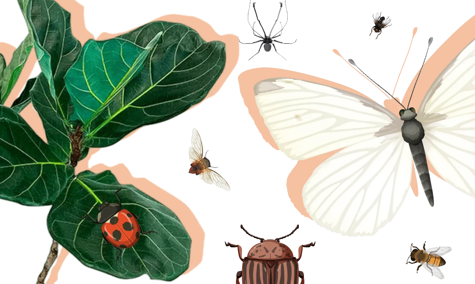 21 Insect Trivia Questions To Set Your Brain Crawling With Excitement 21-insect-trivia-questions-to-set-your-brain-crawling-with-excitement